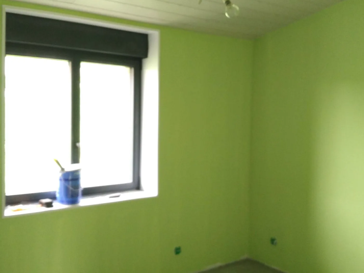 Chambre peinte en vert
